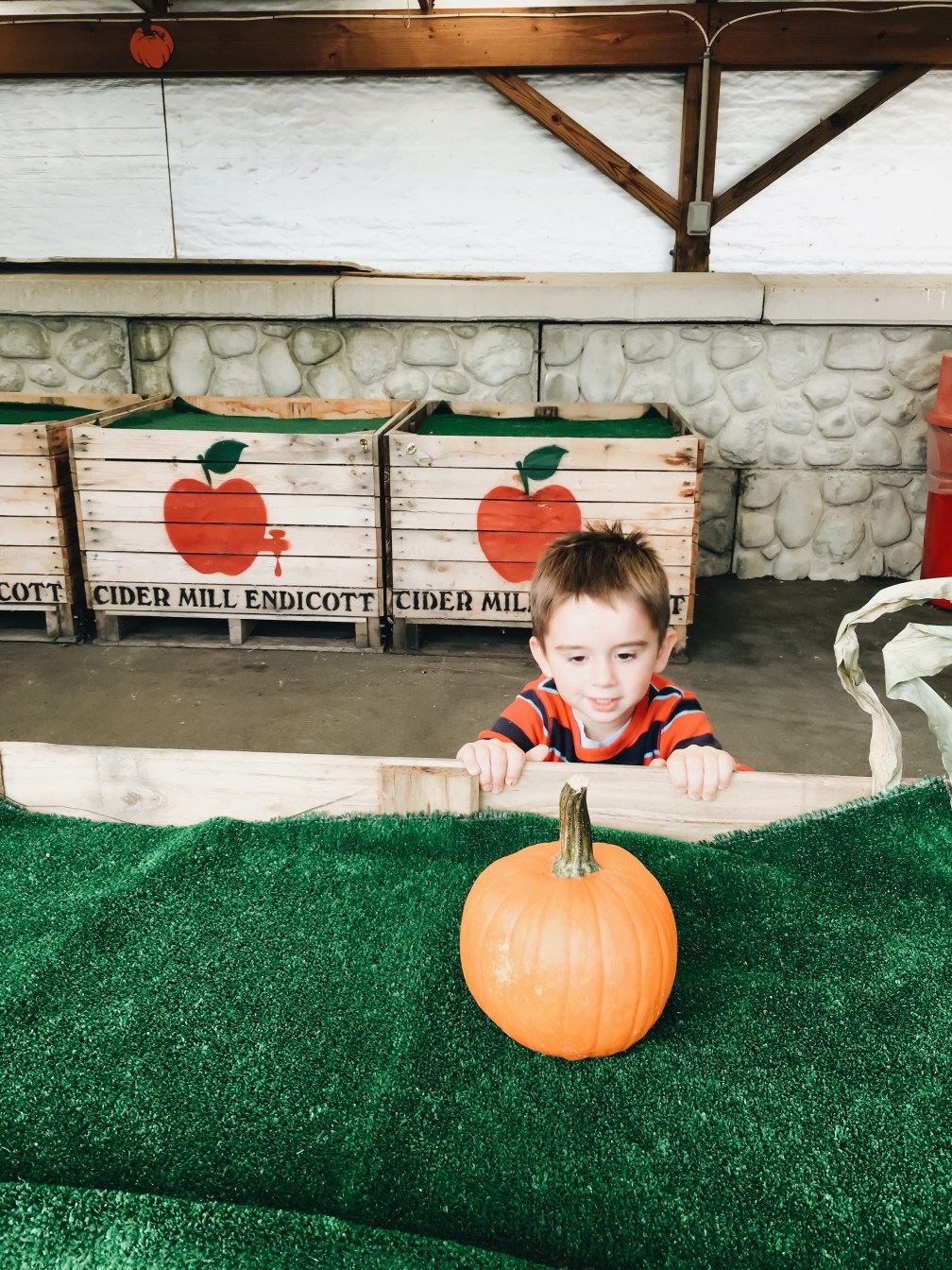 Processed with VSCO with a6 preset