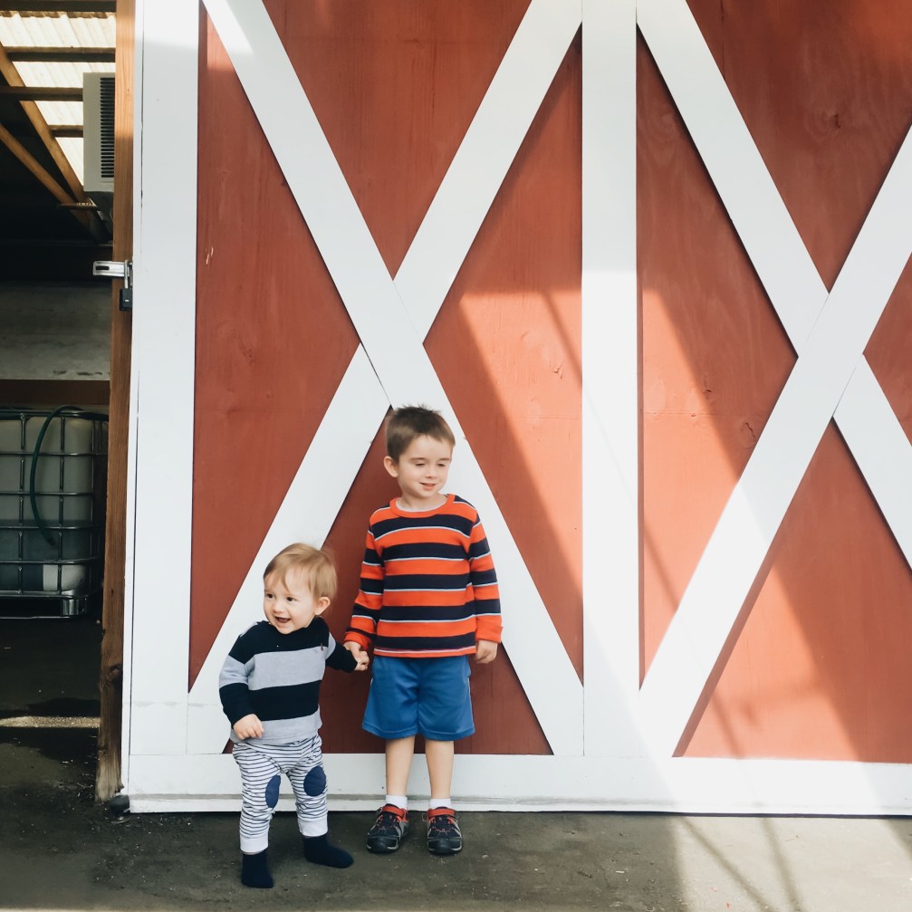 Processed with VSCO with a6 preset